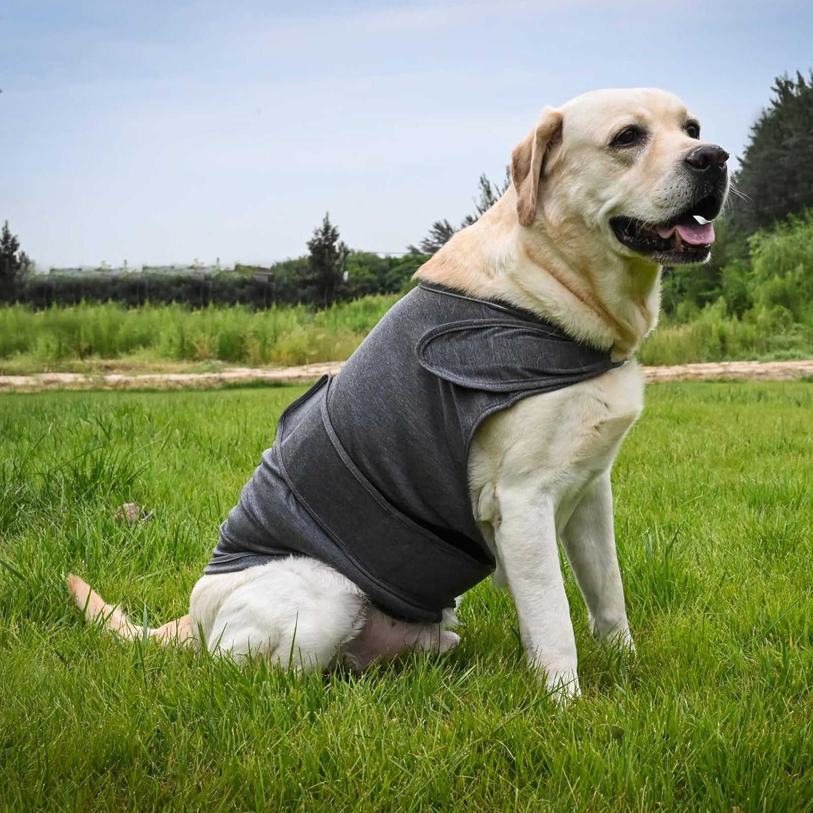 Pet Anxiety Relief Soothing Jacket